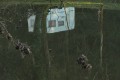 reflet 2